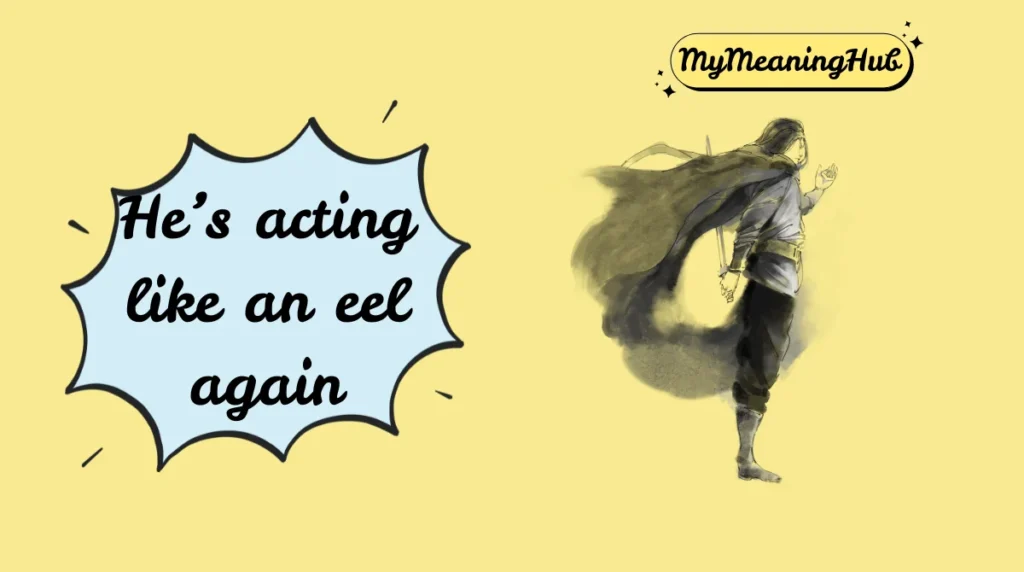 eel meaning