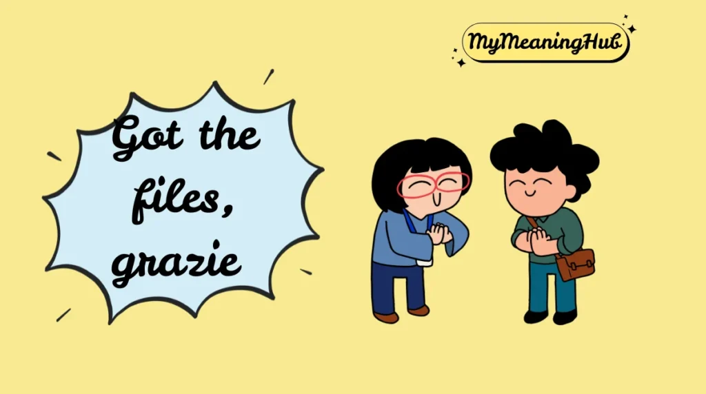 grazie meaning