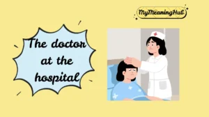 hospitalist meaning