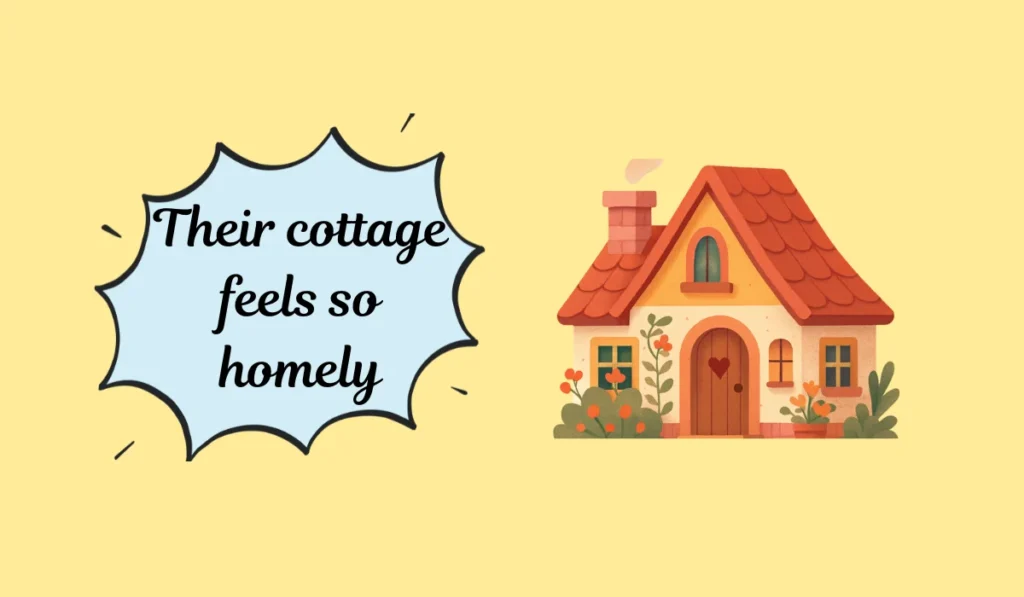homely meaning