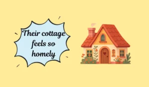 homely meaning
