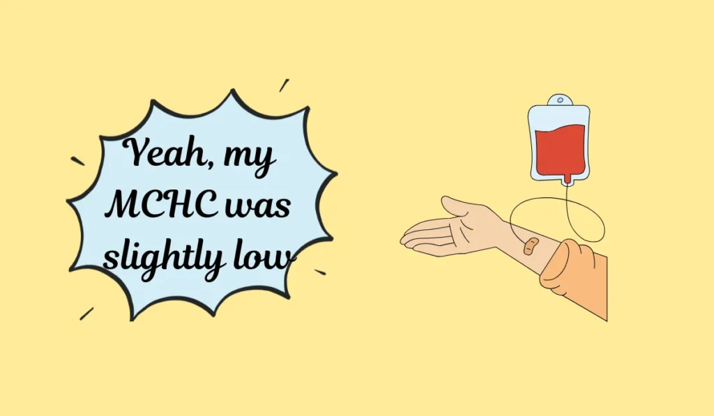 mchc meaning