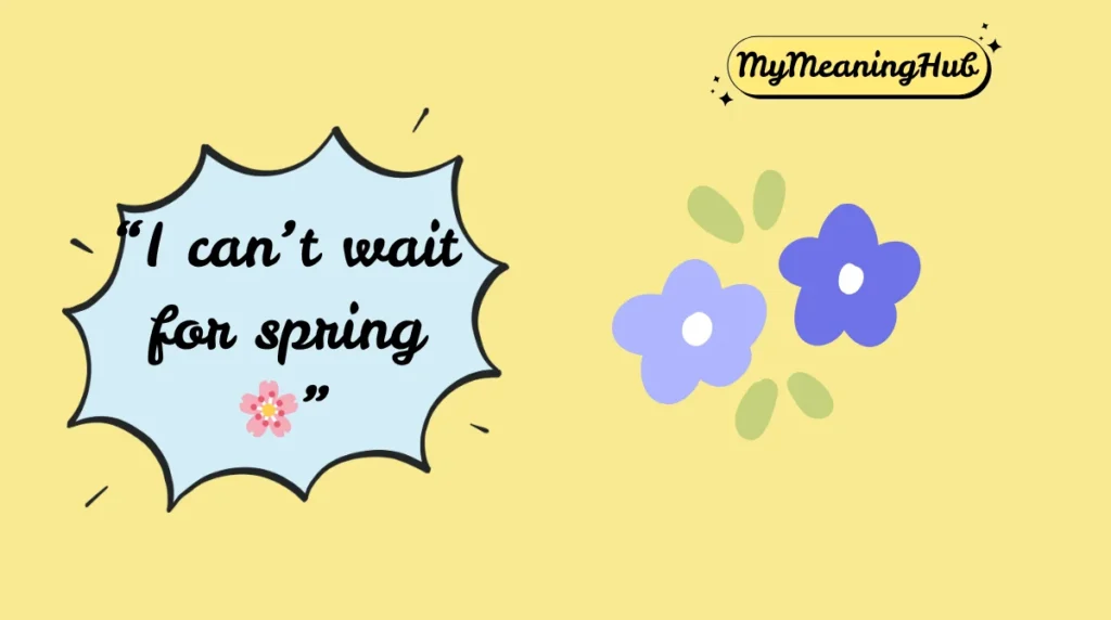 spring meaning