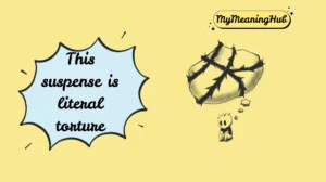 torture meaning