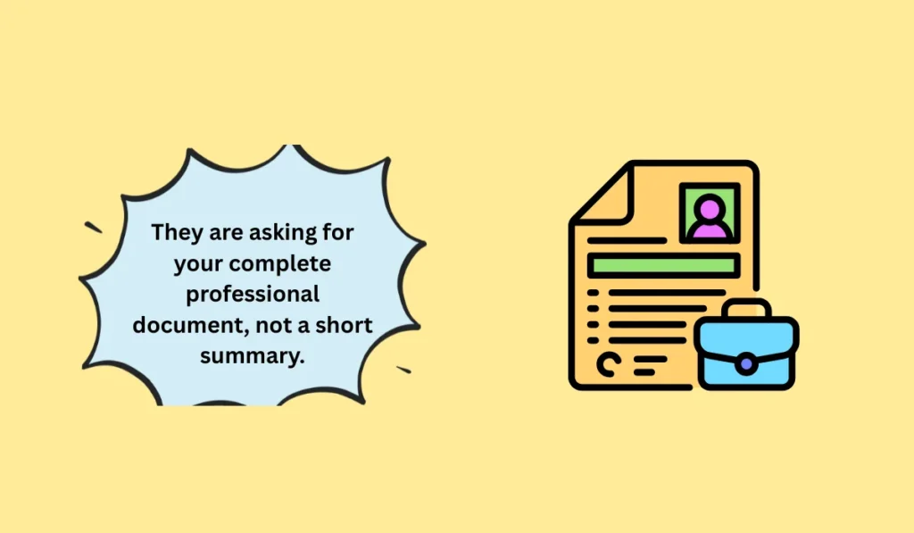 curriculum vitae meaning