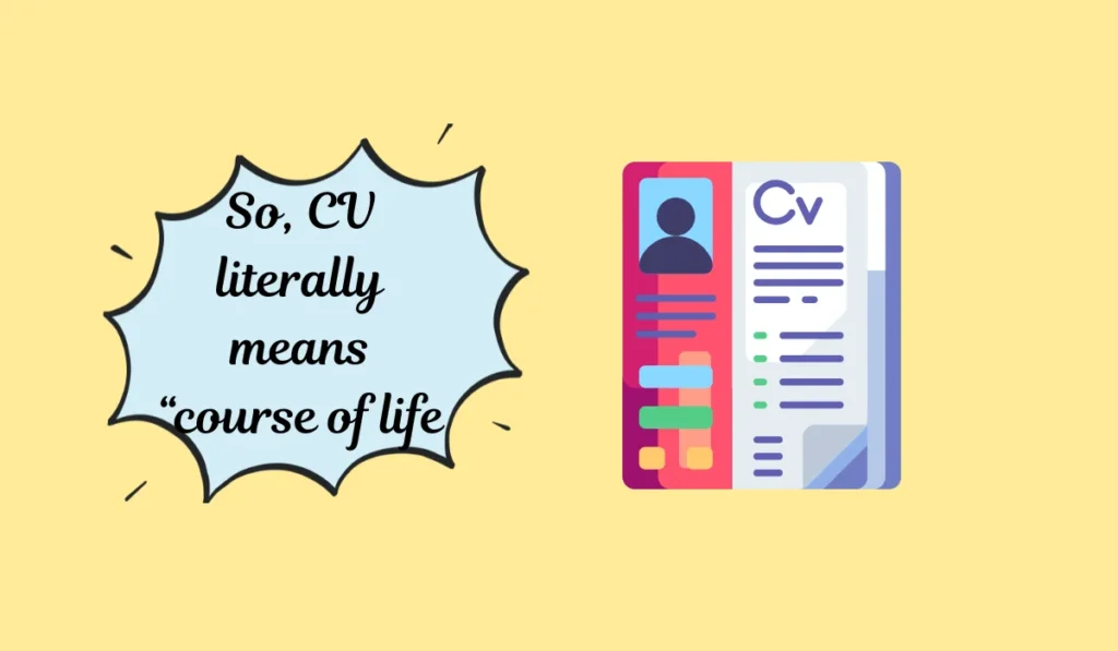 curriculum vitae meaning