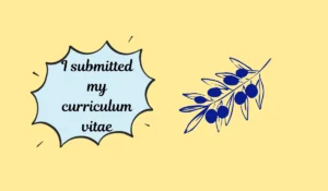 vitae meaning